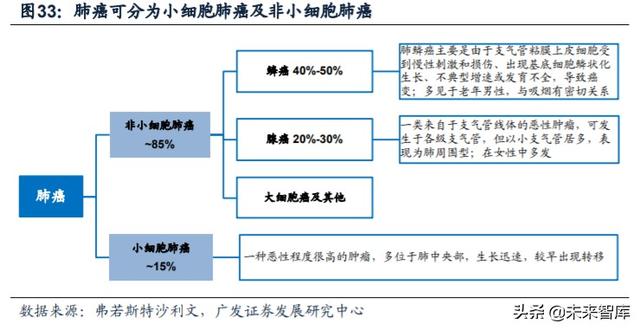 医药行业专题：第三代EGFR-TKI药物，第一大癌症造就百亿市场