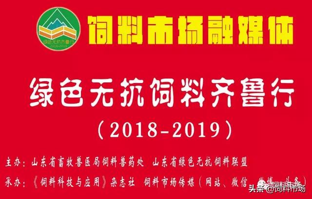 看，山东爱依特生物技术有限公司如何成为鹅饲料市场的一匹黑马