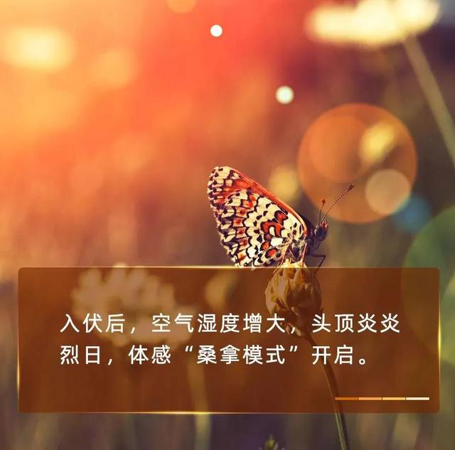 湖北天门：三伏饮食｜夏季调理肠胃，牢记“三戒三宜”