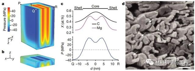 美國材料科學家，研究了一顆牙齒，還發了篇《Nature》