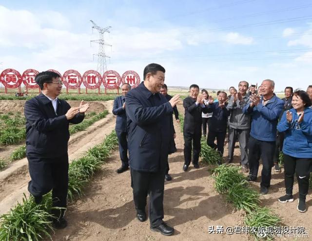 龙头带动，小黄花变大产业！探寻其产业发展路径