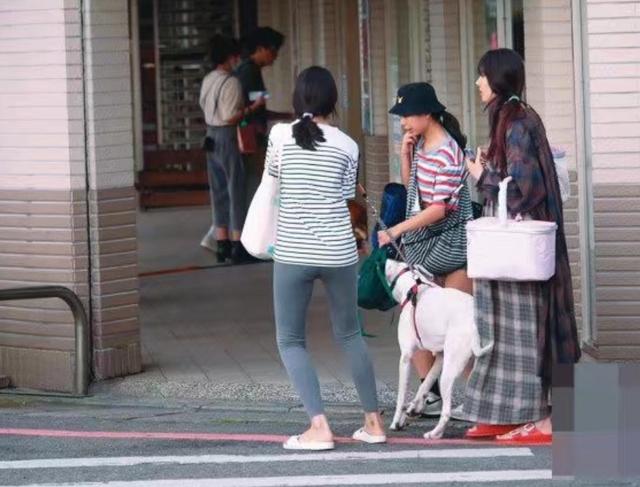 继郭碧婷被曝怀孕六个月，向佐分享彩虹心情好，配图吉利别有深意