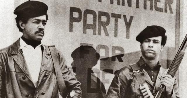 刺激1969：黑豹党的灰烬和幽灵