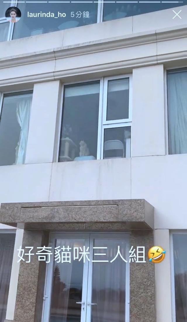 何超莲送别赌王后首更新动态，曝光窦骁入住三太豪宅同居“试婚”