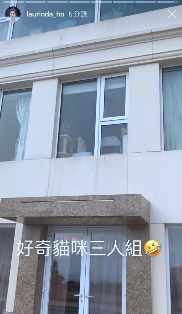 同居|何超莲窦骁疑已同居 曝光窦骁入住三太豪宅同居“试婚”