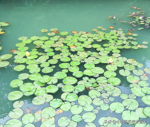 金庸笔下的世外桃源之地，拍摄过多部影视剧，