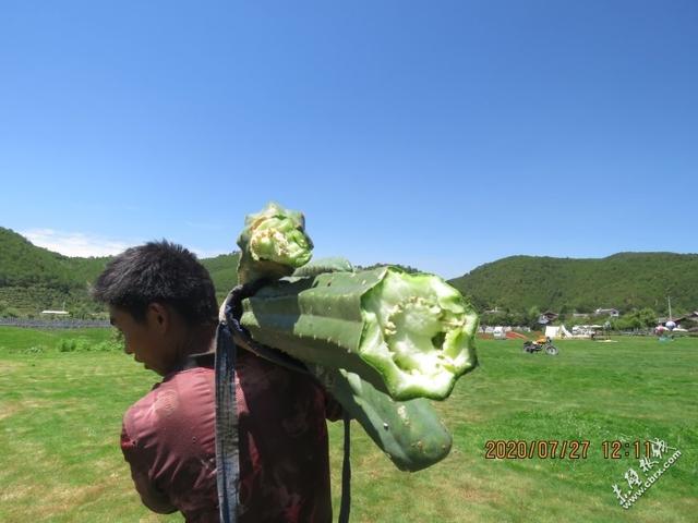 旅游旅行在丽江！人间值得