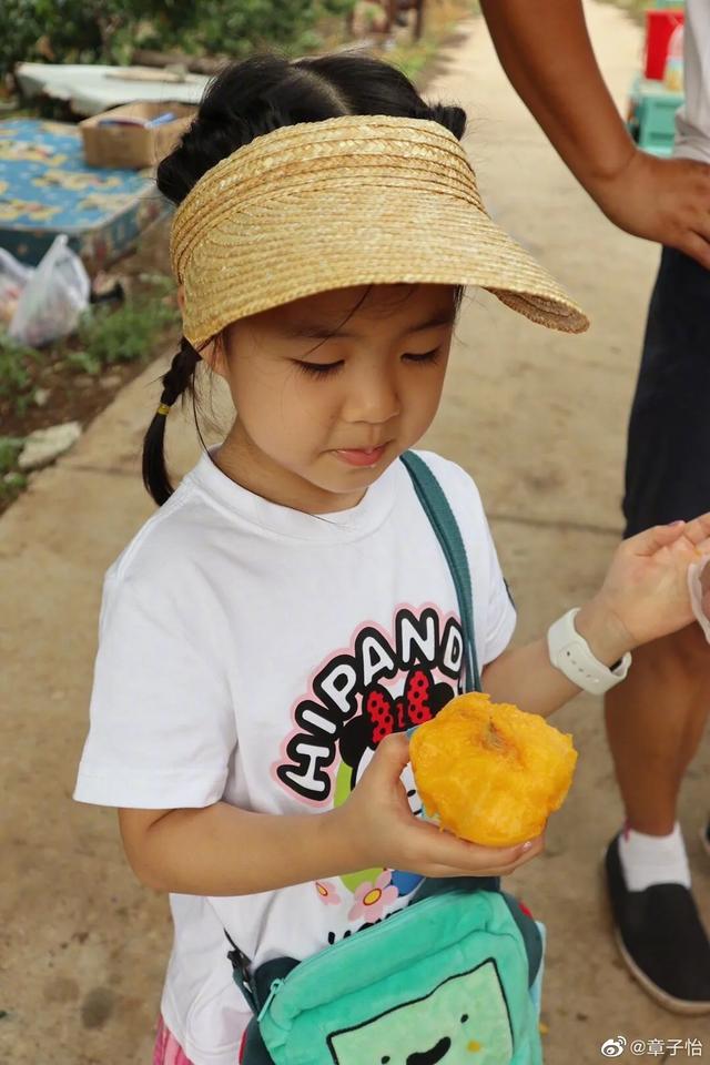 汪峰一家四口上山摘桃，章子怡小腹平坦，小苹果身高赶上妈妈