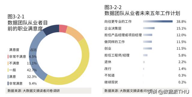 2020年《顶级数据团队建设全景报告》重磅发布