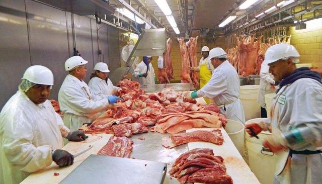 华北、东北、华中三地区猪价大跌！这3个原因决定下半年猪价走势
