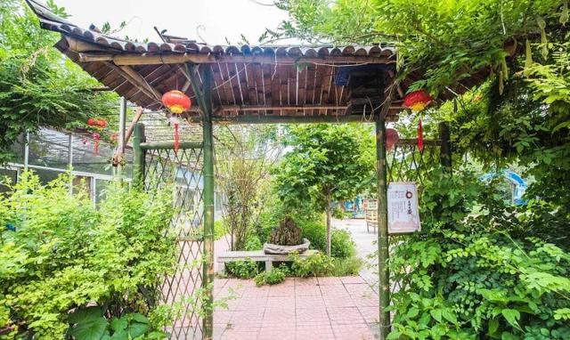 农家乐变“农家哭”，为何农家乐迎来了“关门