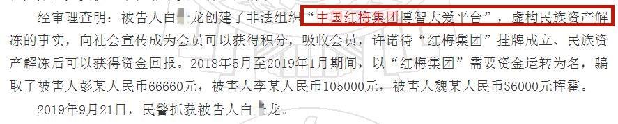 “中国红梅集团”白某龙犯诈骗罪，获刑5年，罚金10万元！退赔诈骗款20多万！