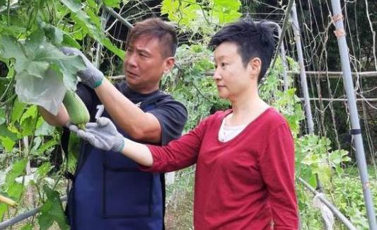 他是《神话》的“赵高”，因妻子酷爱田园生活，买下九百坪地种菜