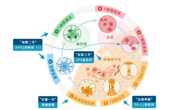 传杭州阿诺医药完成1亿美元C轮融资，或即将启动IPO