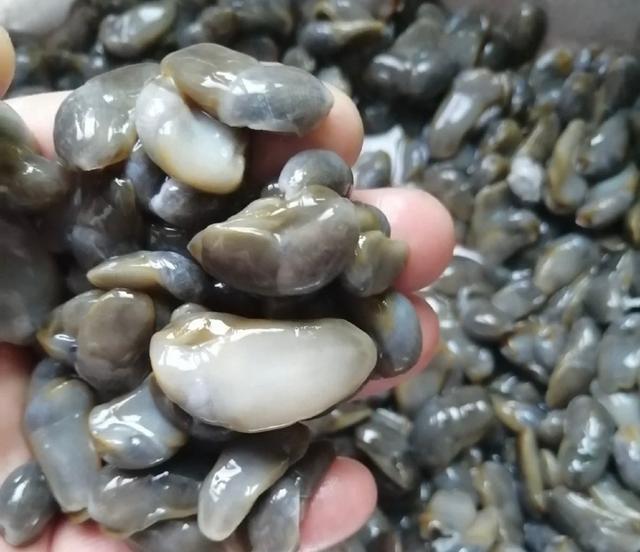 醉泥螺的味道差點把我帶走醉泥螺，有吃過的嗎？
