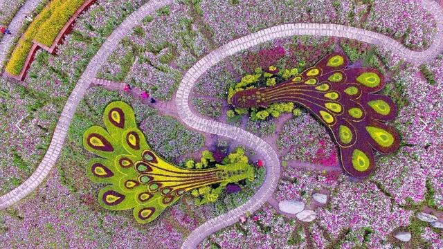 you成都 2020成都最有味儿的小镇