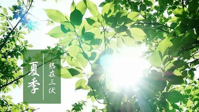 即将入伏,宝宝喝奶该注意哪些问题?