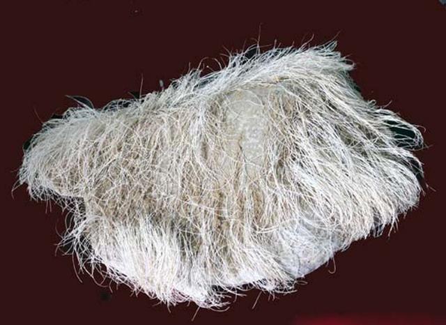 农民捡到一长满白发的石头，专家鉴定后，立马封锁整个村子