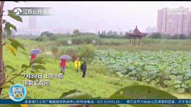 南京老党员志愿者防汛有&ldquo;三大宝&rdquo;：打狗棍、钉耙、小红旗