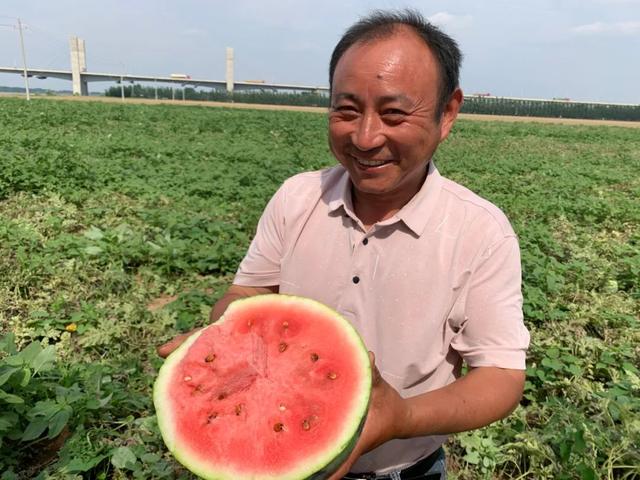 菏泽东明黄河滩200亩西瓜滞销！种植户急盼爱心