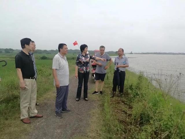  Go upstream! When the flood control of Anhui prosecutors is in progress