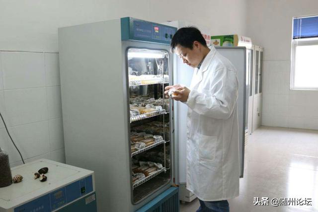 把青春写在“菇乡”大地上——记湖北长久菌业公司食用菌专家黄天骥