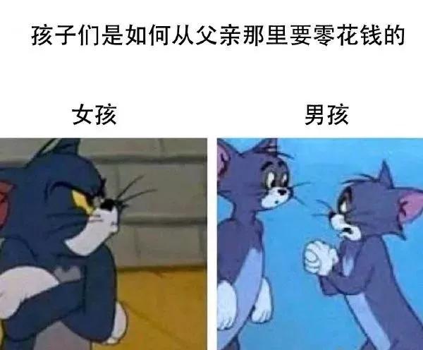 仪器是正规的，服装又不像，所以到底正不正规？