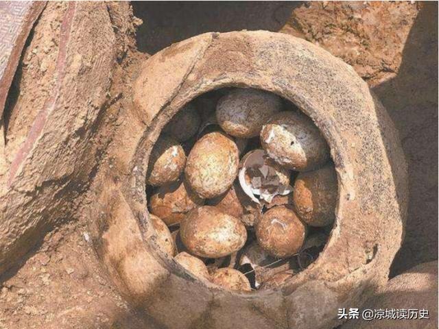 春秋时期墓陵挖出2500年前的鸡蛋，任何物品都能成为化石吗？