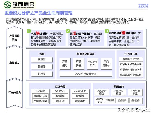 IBM咨询公司客户案例：110页业务发展与IT建设统-规划项目