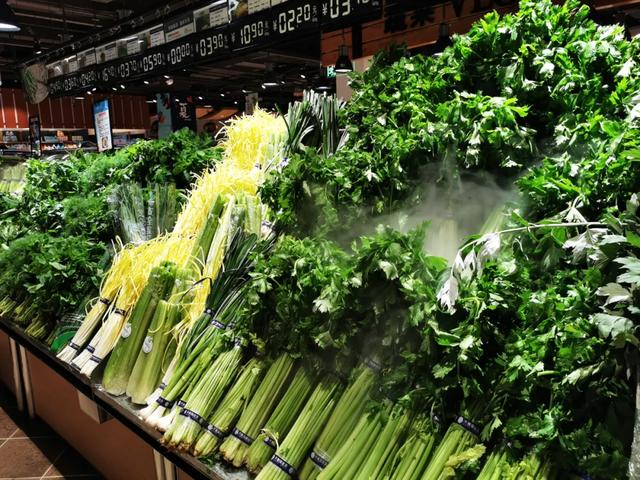 �ֶ������ʿγ���һ�죬ϸ�µĹ����������ֶ���Ϊʲô��ô��