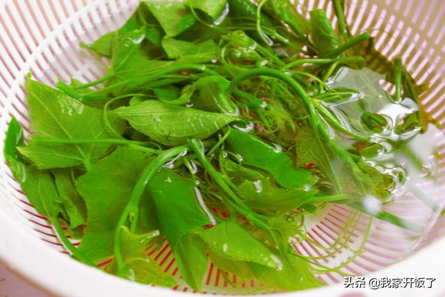 伏天儿，巧用丝瓜尖做汤，鲜掉眉毛了，清热消暑，不输任何汤品