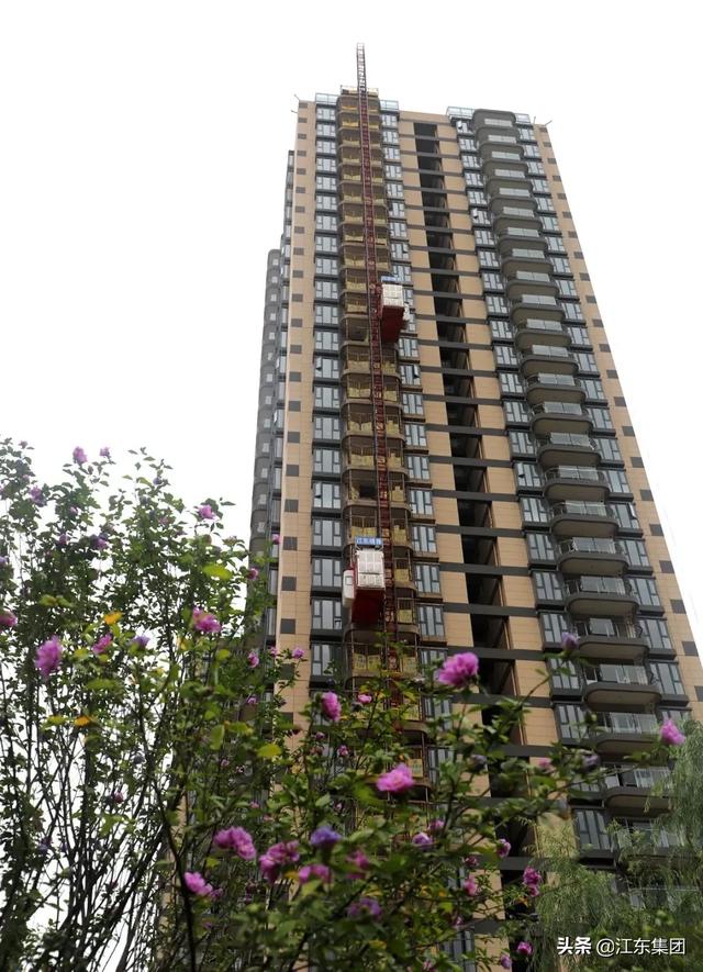 江東境界 | 不負光陰，不負所期