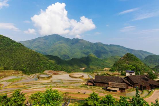 永州市东安县：一片叶子富了一方百姓