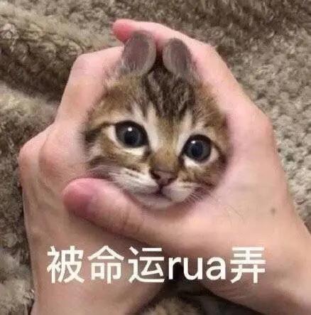 շСá߽񷨵㉜