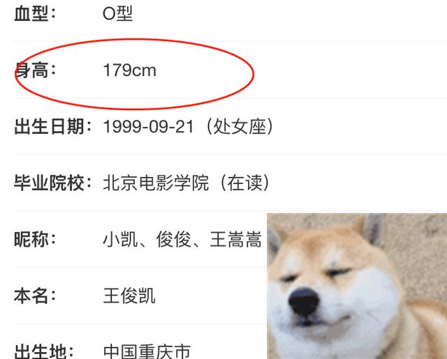 王俊凯杜海涛合体录《中餐厅4》，对比二人身高