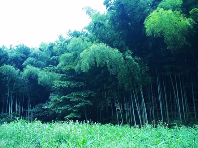 养一张富贵嘴，享一世富贵命