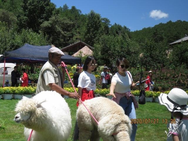 旅游旅行在丽江！人间值得