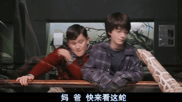 没有狮子闪不瞎和处女搞不定的：哈利波特40岁生日他们又回来了