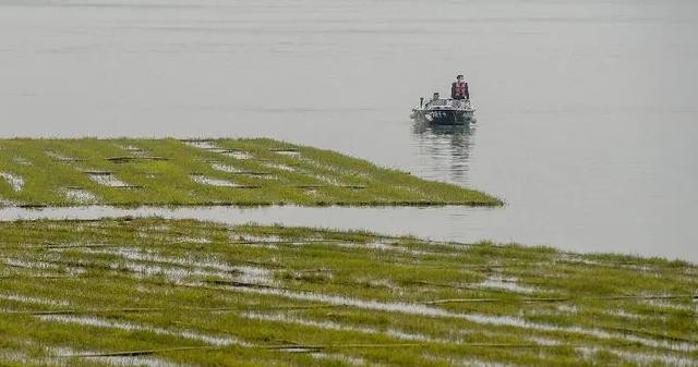 江津区|【聚焦】江津长江流域禁捕退捕工作纪实
