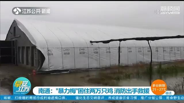 &ldquo;暴力梅&rdquo;导致积水困住鸡舍 南通消防救出两万只鸡