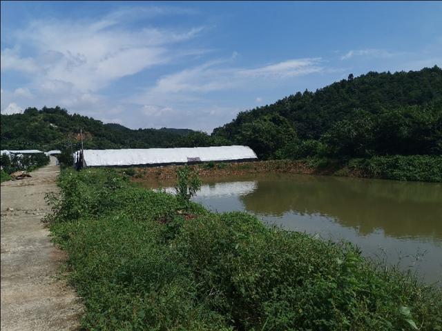 机械化是我国农业发展的新方向？农学教授无奈说出实情