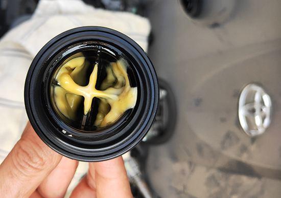 ����춯��ɽ��������˹���ٻأ�������ϵ�춯����Ŀ�����