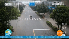 大黄狗撞上电动车&ldquo;肇事逃逸&rdquo;，民警反复看监控找到狗主人