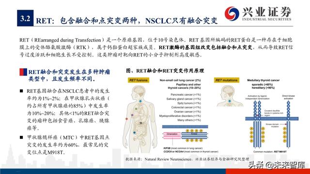 肺癌专题报告：序贯靶向治疗是核心，免疫联合治疗是新常态