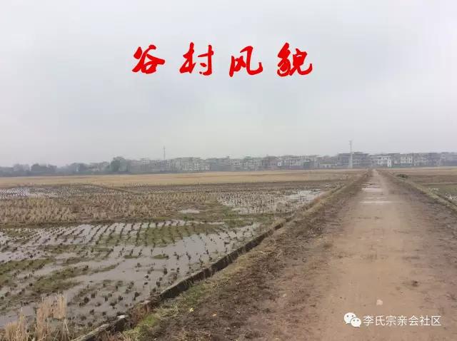 江西谷村！该省李姓最大的聚居地，西平王后人