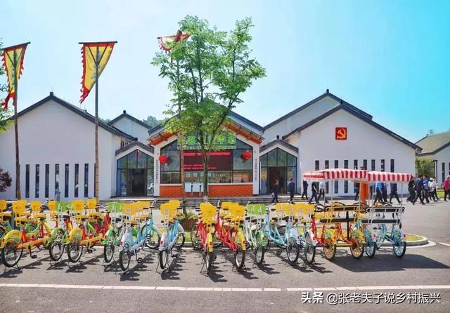 "村集体+公司+家庭农场"为乡村造血模式—浙江安吉鲁家村案例评析