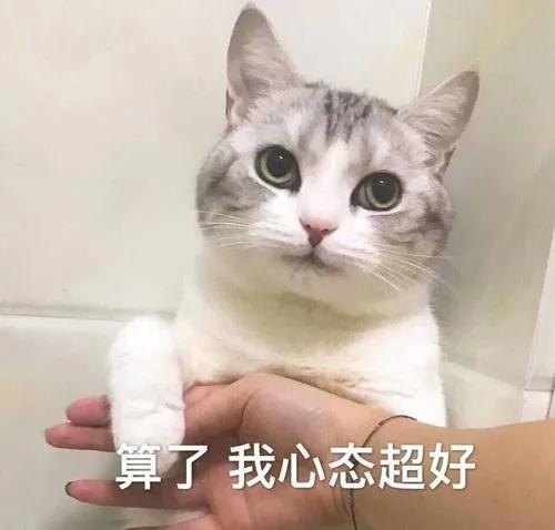 ​今天 华为霸气回应