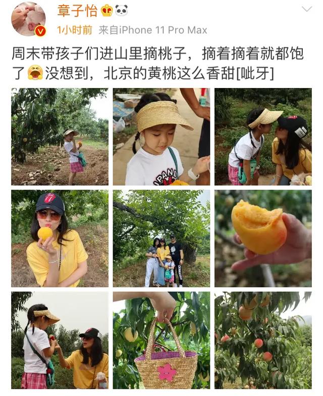 汪峰一家四口上山摘桃,章子怡小腹平坦,小苹果身高赶上妈妈
