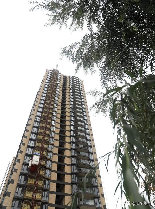 江東境界 | 不負光陰，不負所期