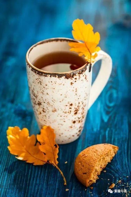 隔夜茶能喝吗？